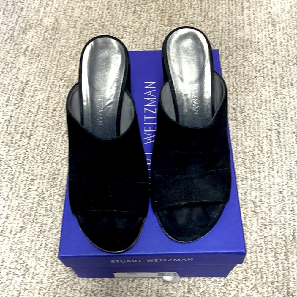 Stuart Weitzman shoe
